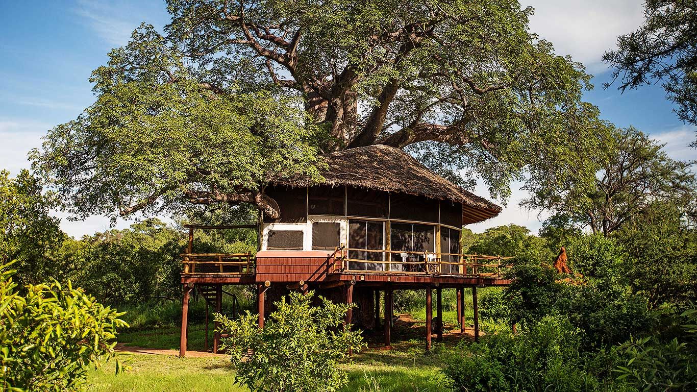 safari tree house groesbeck tx