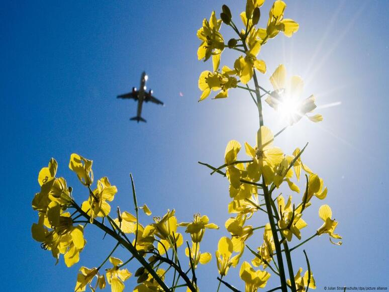 Climate change How can we make flying greener